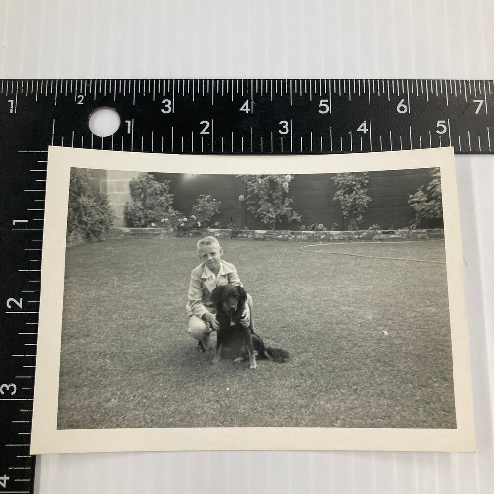 Boy & Dog 1956 Snapshot Photograph Backyard Scene Kodak Velox